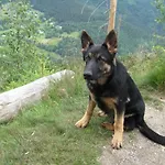 U Kobru * Špindlerŭv Mlýn